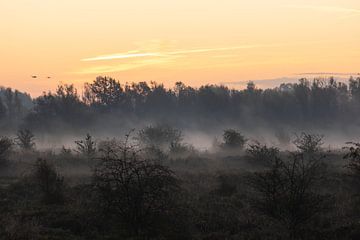 zauberhafte Atmosphäre von Tania Perneel