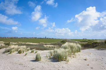 De duinen bij Hollum van Marjan Noteboom