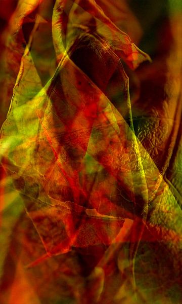 Autumn, Let's party  by Marlies Prieckaerts