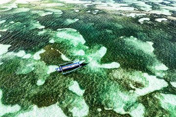 Aerial Summer - Emerald Coral Reef