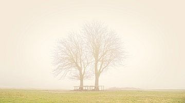 Bomen in Lentevreugd van Wim van Beelen