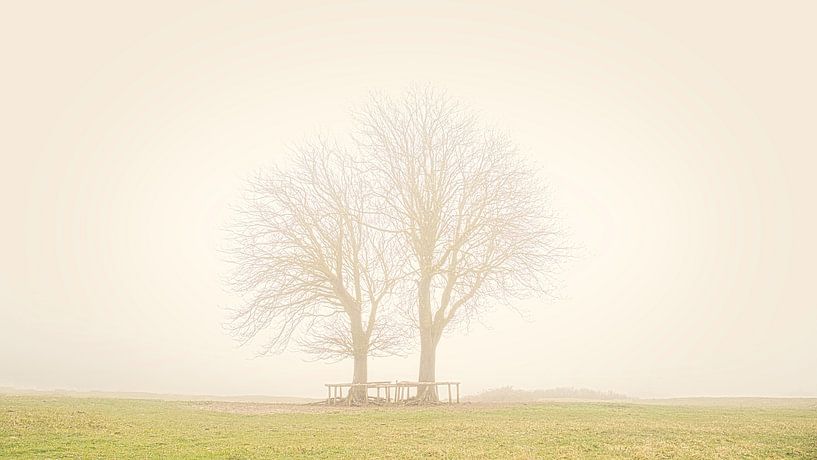 Bomen in Lentevreugd van Wim van Beelen
