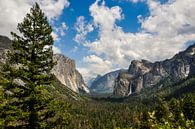 Yosemite, Californië van Pauline Paul thumbnail