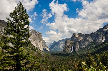 Yosemite, Californië van Pauline Paul