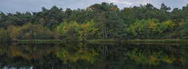 Autumn in Holtingerveld – Drenthe (Netherlands) by Marcel Kerdijk