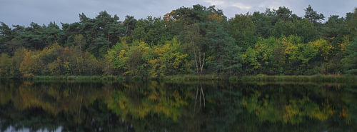 Herbst im Holtingerveld – Drenthe (Niederlande)
