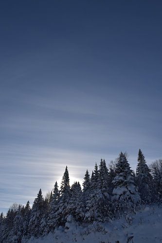 Een einde van de dag op een koele winterdag
