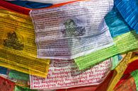 Gebetsfahnen in Tibet von Erwin Blekkenhorst Miniaturansicht