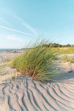 Dunes by Steffen Gierok
