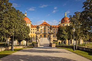 Schloss Moritzburg (Sachsen)