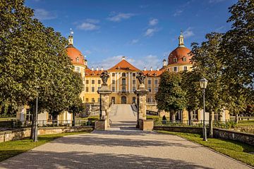 Schloss Moritzburg (Saksen) van Rob Boon
