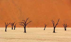 Sossusvlei Namibië (1) van Adelheid Smitt