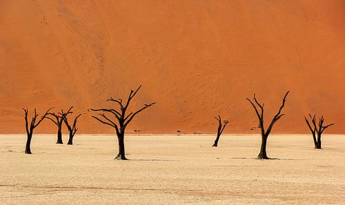 Sossusvlei Namibië (1)