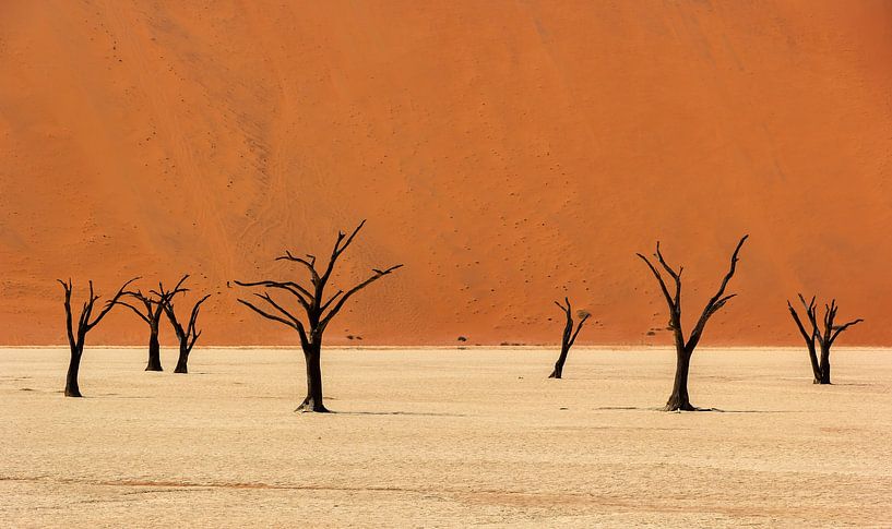 Sossusvlei Namibia (1) by Adelheid Smitt