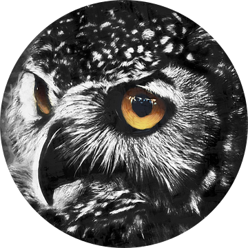 olieverf portret van een uil met gekleurde ogen