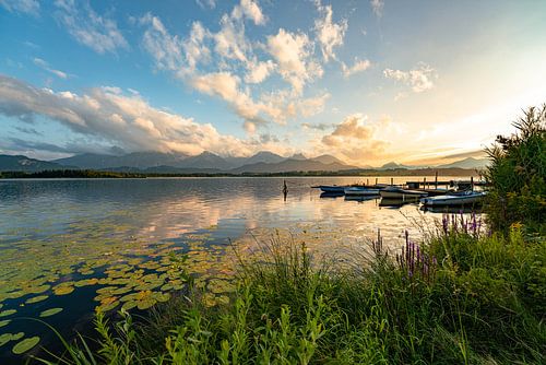 Uitzicht over het Hopenmeer naar de Allgäuer Alpen