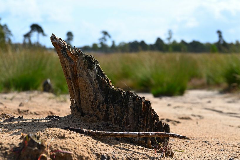 Tribu dans le sable par Joard van den Ende