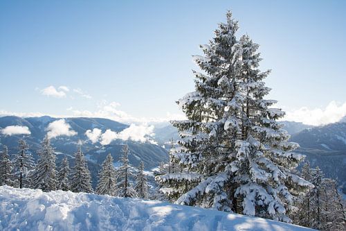 Winterlandschap 