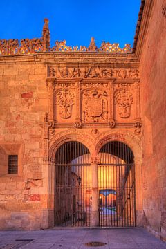 Universiteit, Salamanca, Spanje
