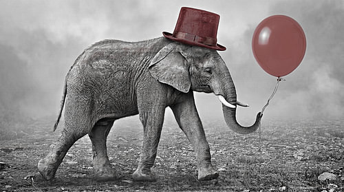 Ein Elefant mit Zylinder, der mit einem roten Ballon spazieren geht