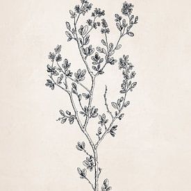 Tekening van wilde bloemen van Apolo Prints