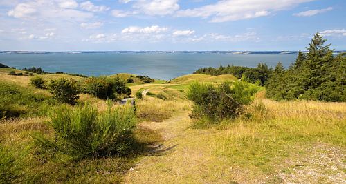 Landschap in Denemarken
