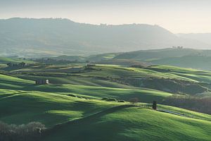 Frühling im Val d'Orcia. Pienza, Toskana
