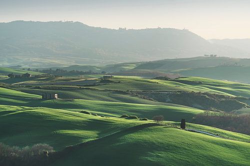 Lente in Val d'Orcia. Pienza, Toscane