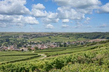 wine village Jugenheim by Peter Eckert