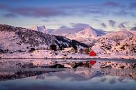 Steinefjorden sunset van Wojciech Kruczynski thumbnail