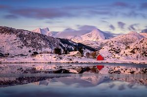 Steinefjorden sunset van Wojciech Kruczynski