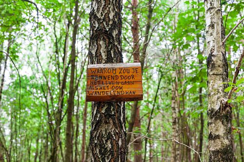 Why run when you can also walk?