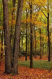 Herbst