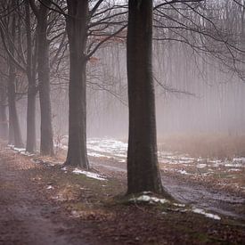 Mist in Diever van Nathalie Scholtens - den Besten
