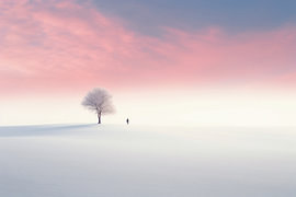 Ästhetischer Minimalismus