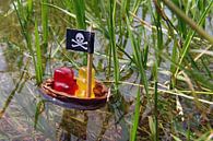 De gummiberen - Piraten van Ingo Laue thumbnail