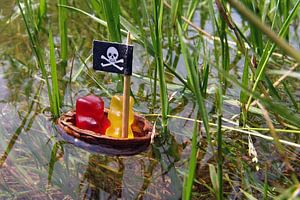 Die Gummibärpiraten