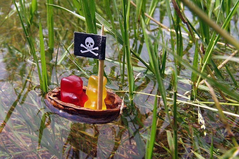 De gummiberen - Piraten van Ingo Laue