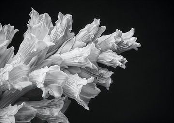 Bloemen zwart wit - Floral 03 van Sander Hupkes