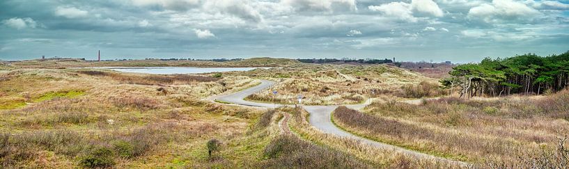 Dunes of Helder by eric van der eijk