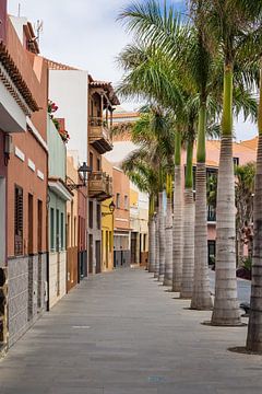 Street in  Puerto de la Cruz van Rico Ködder