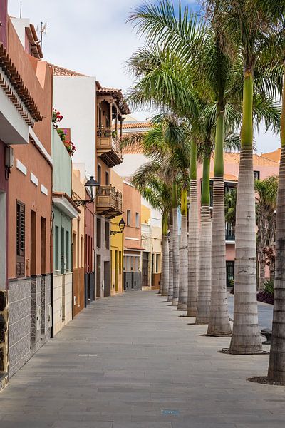 Street in  Puerto de la Cruz by Rico Ködder