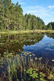 water more by Geertjan Plooijer