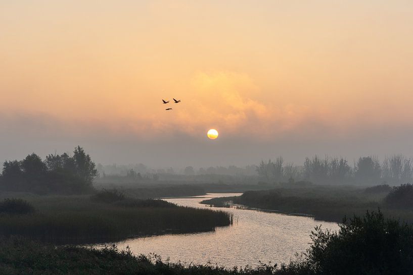 Foggy sunrise by SusanneV