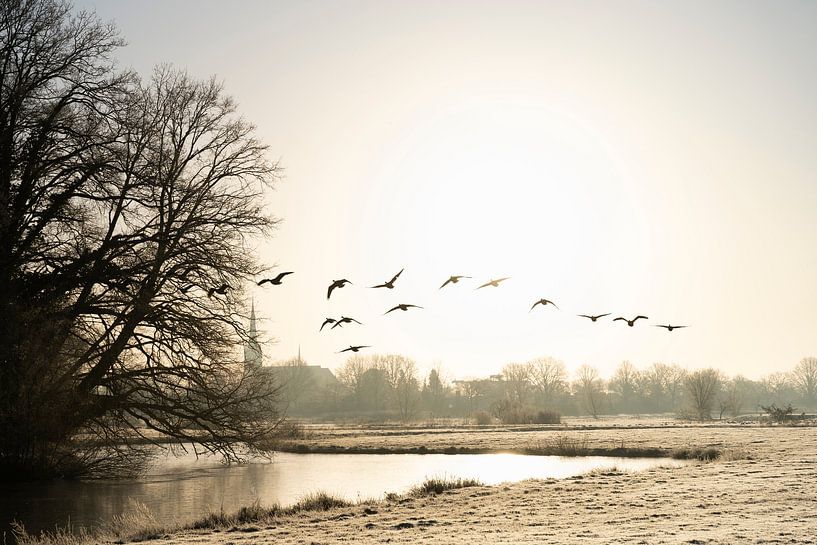 Morgenspaziergang im Winter von Hanneke Derksen