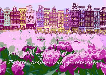 Tulpen uit Amsterdam van ! Grobie