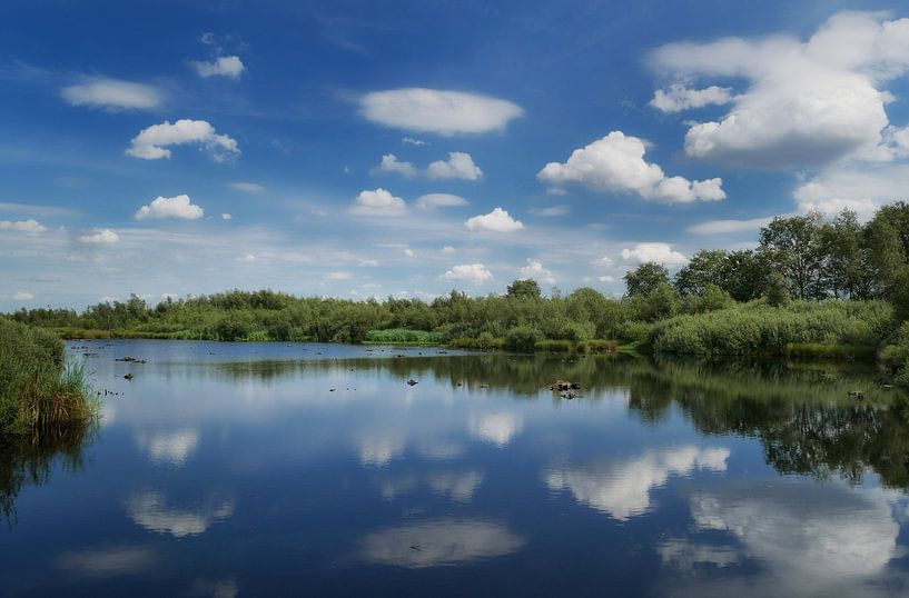 The Peel by Hans Heemsbergen