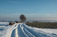 Winterlandschap rond Gulpen-Wittem, Zuid Limburg.