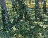 Unterholz - Vincent van Gogh von 1000 Schilderijen Miniaturansicht
