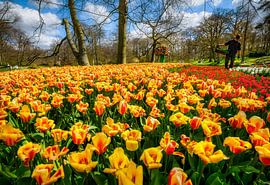 Le parc Keukenhof par une belle journée de printemps